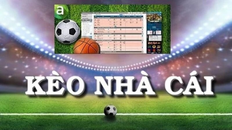 Bí kíp lựa tỷ lệ kèo hôm nay “thơm” nhất 